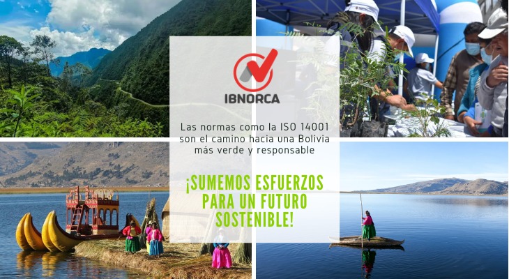 El Impacto de las Normas en el Medio Ambiente 